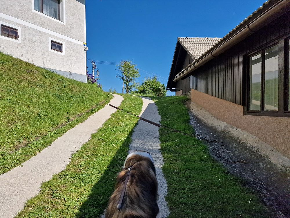 Slika je vidna v Google Chromu.