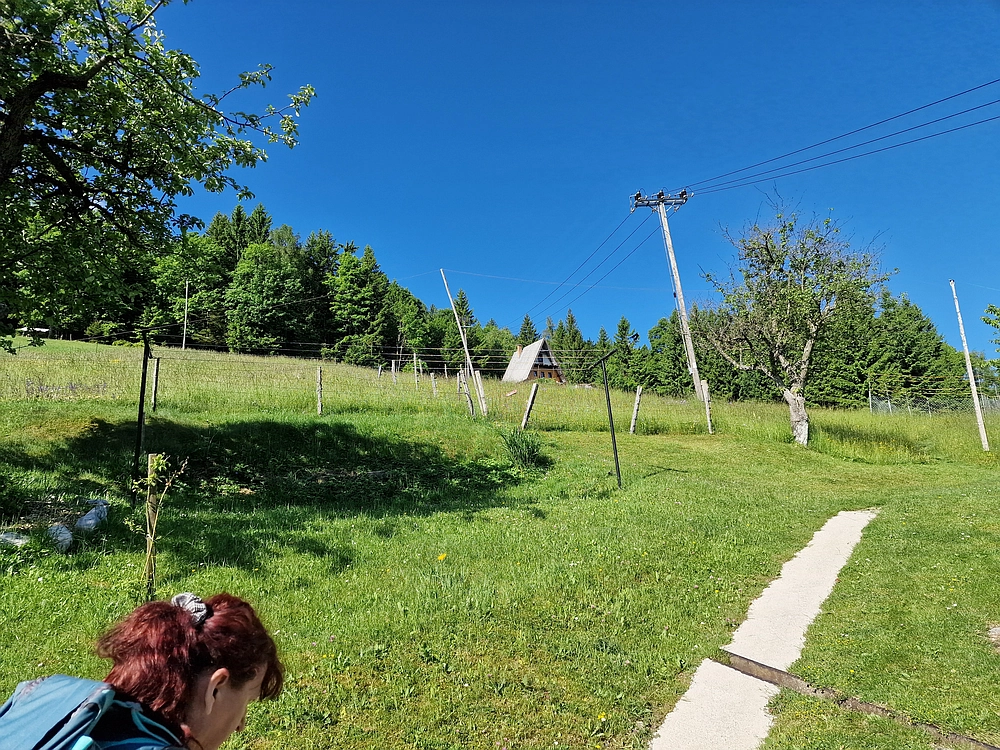 Slika je vidna v Google Chromu.