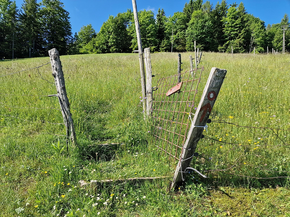 Slika je vidna v Google Chromu.