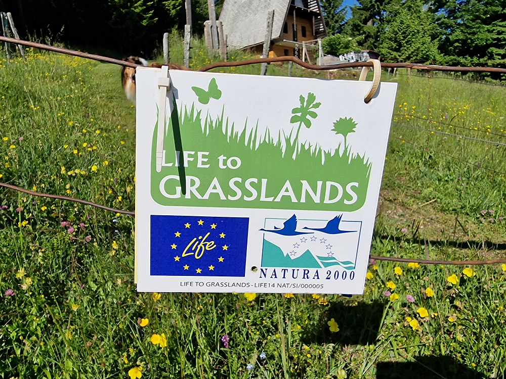 Slika je vidna v Google Chromu.