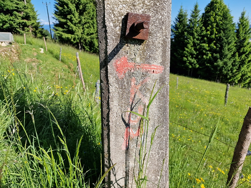 Slika je vidna v Google Chromu.