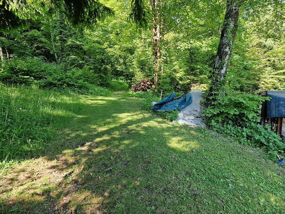 Slika je vidna v Google Chromu.