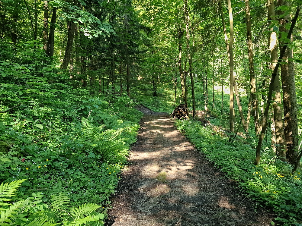 Slika je vidna v Google Chromu.