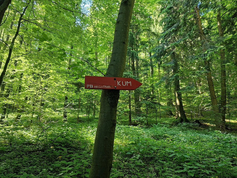 Slika je vidna v Google Chromu.