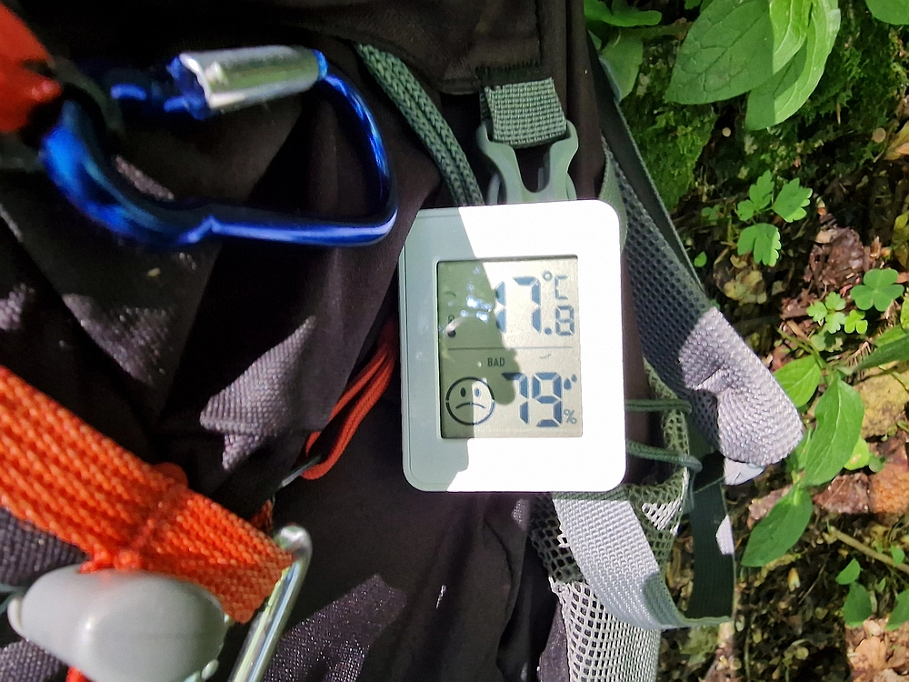 Slika je vidna v Google Chromu.