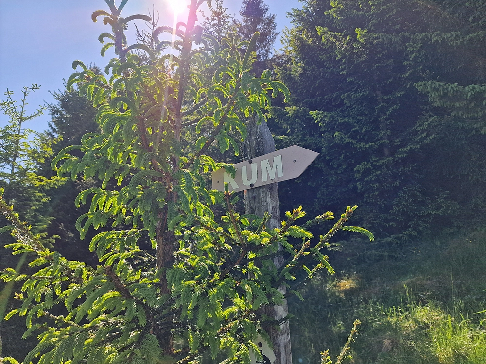 Slika je vidna v Google Chromu.