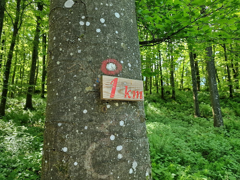 Slika je vidna v Google Chromu.