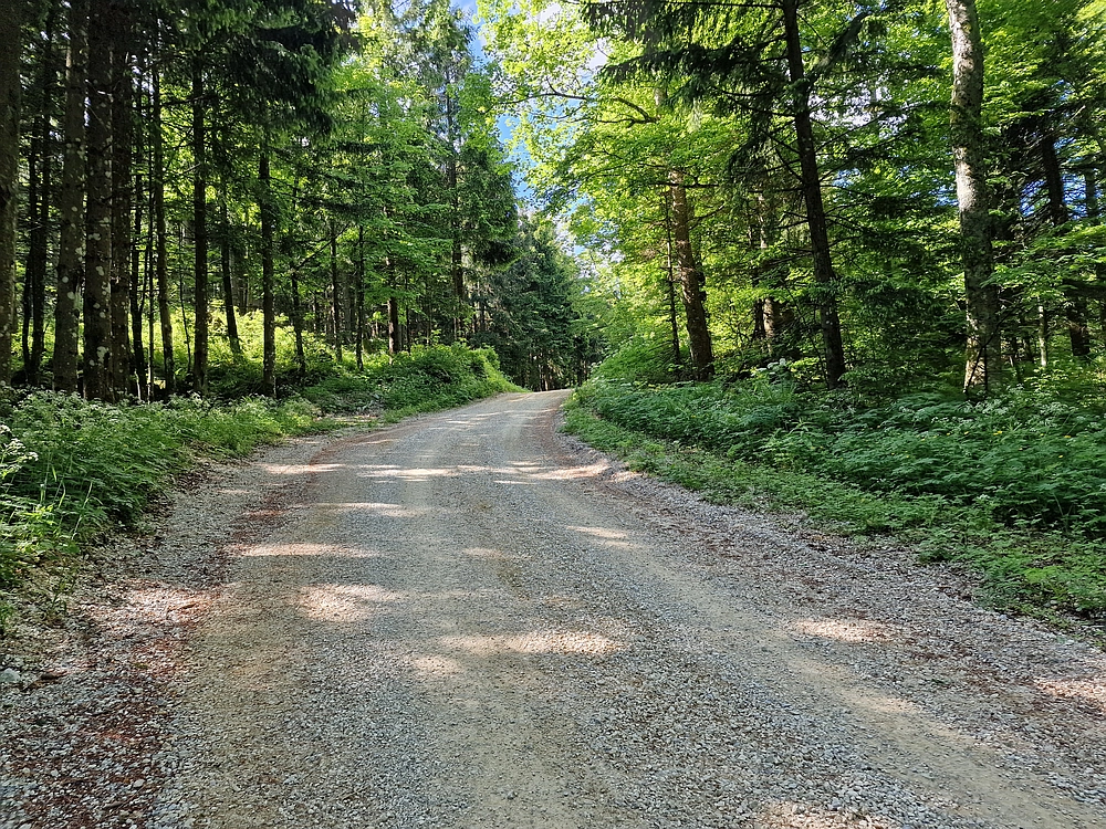 Slika je vidna v Google Chromu.