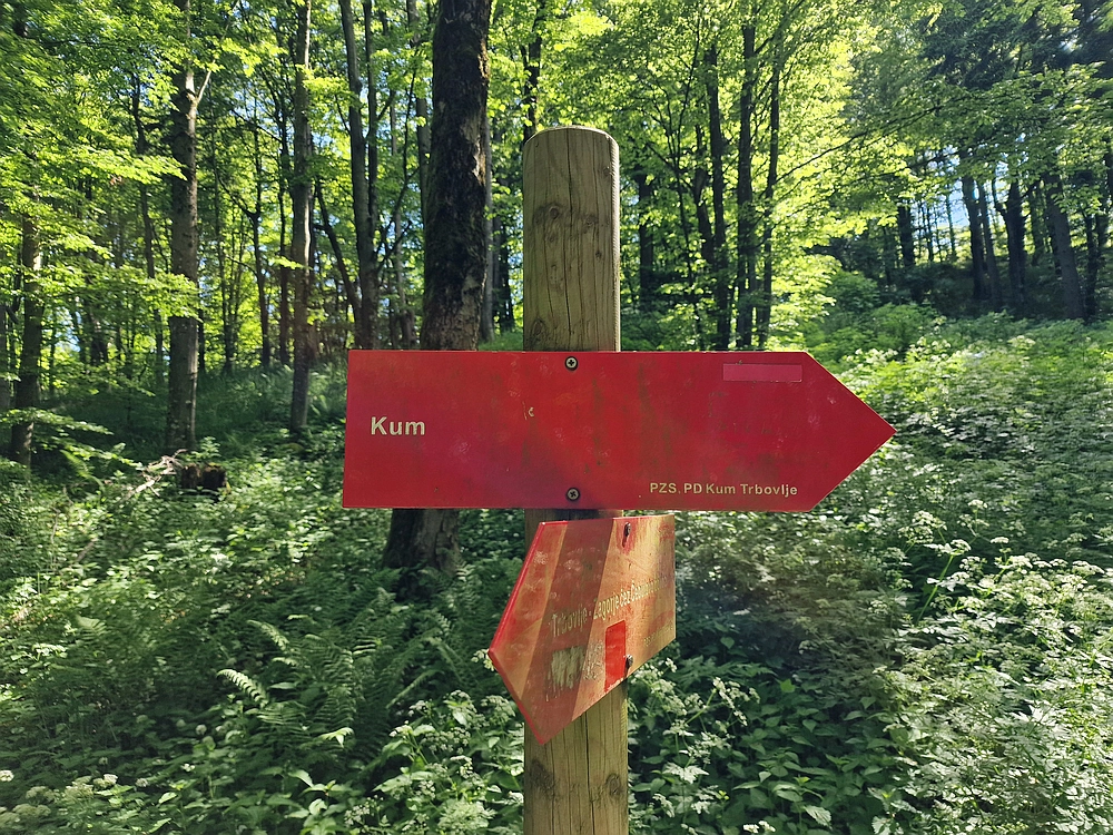 Slika je vidna v Google Chromu.