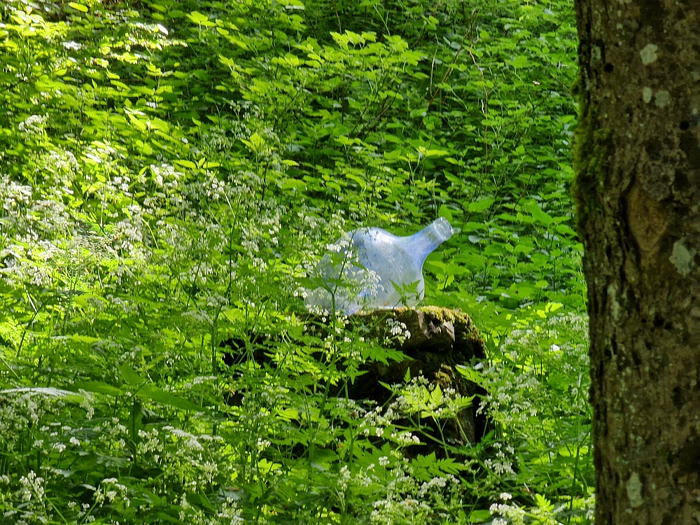 Slika je vidna v Google Chromu.