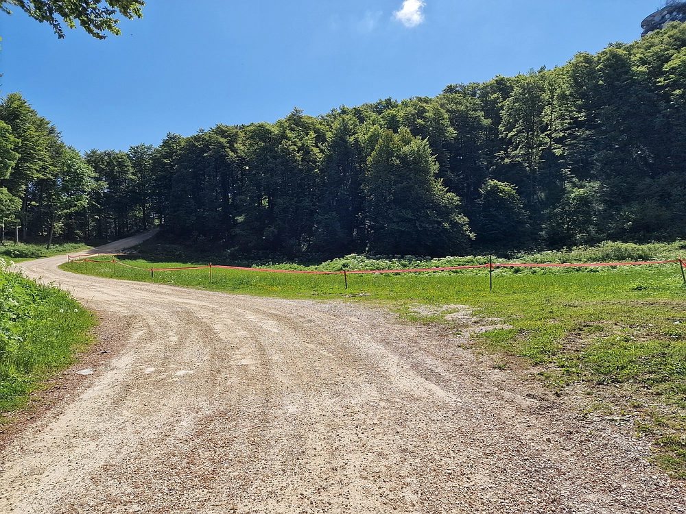 Slika je vidna v Google Chromu.