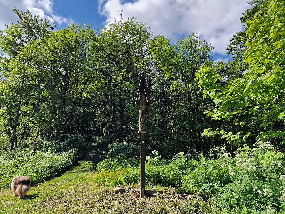 Slika je vidna v Google Chromu.