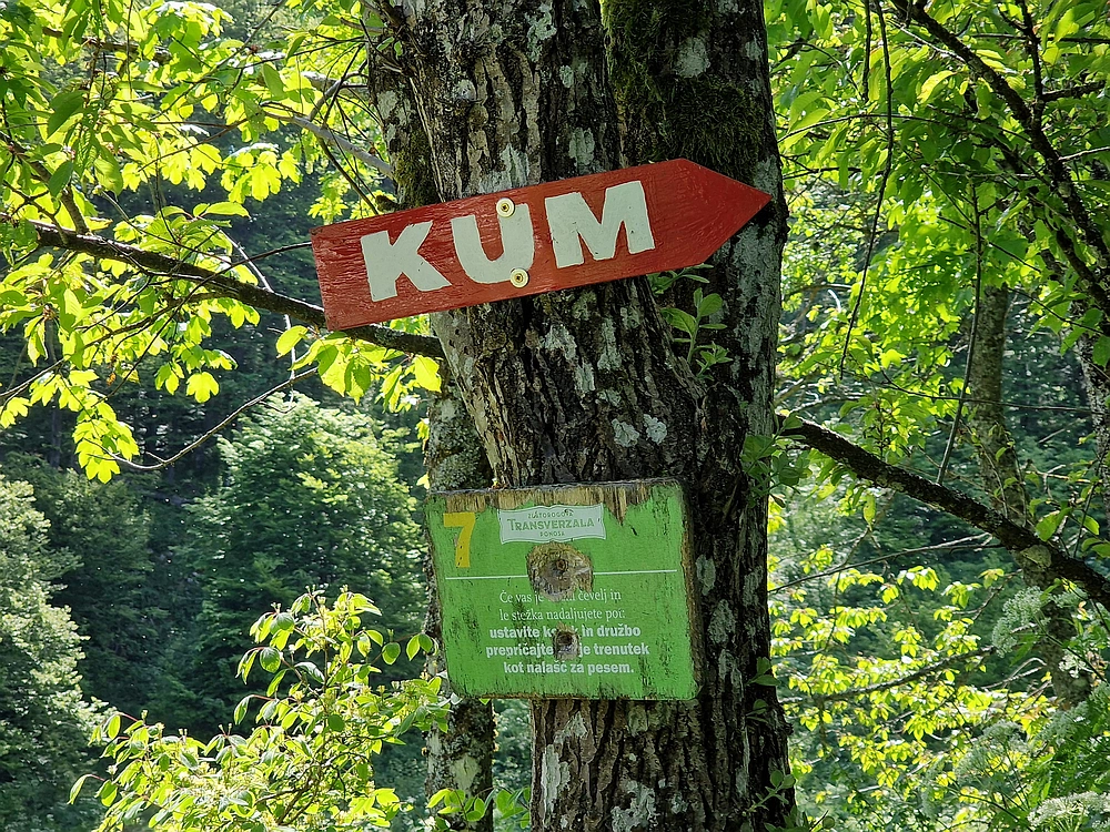 Slika je vidna v Google Chromu.