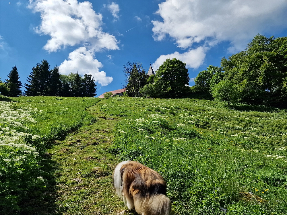 Slika je vidna v Google Chromu.