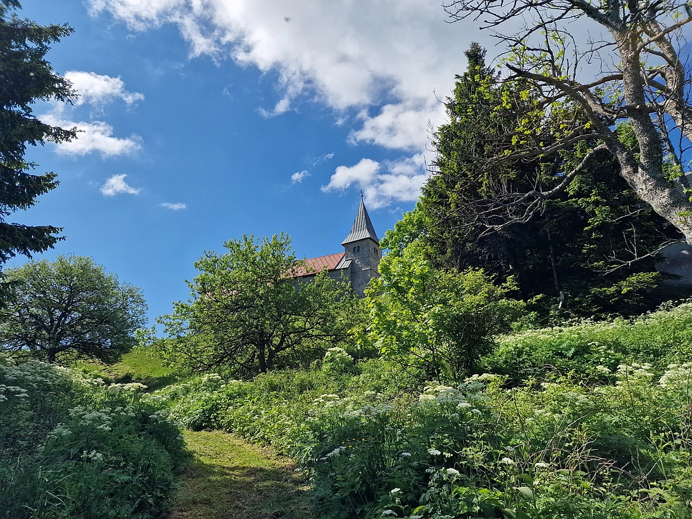 Slika je vidna v Google Chromu.