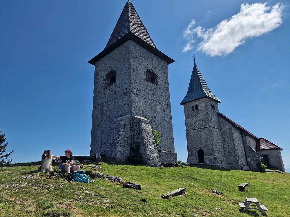 Slika je vidna v Google Chromu.