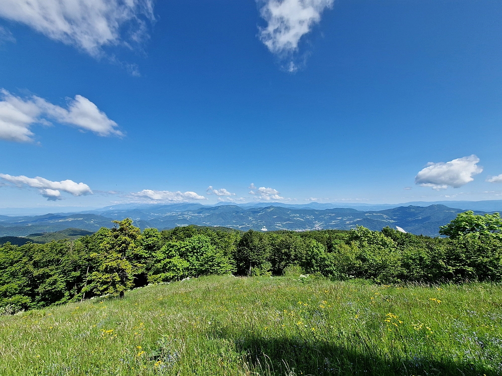 Slika je vidna v Google Chromu.