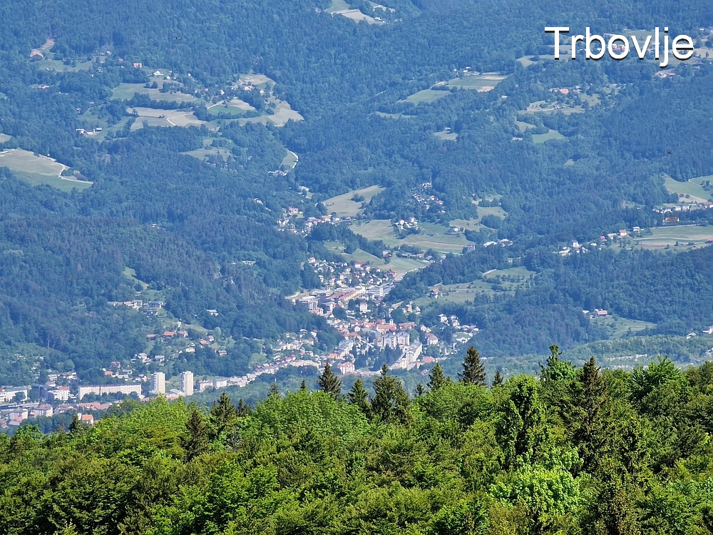 Slika je vidna v Google Chromu.