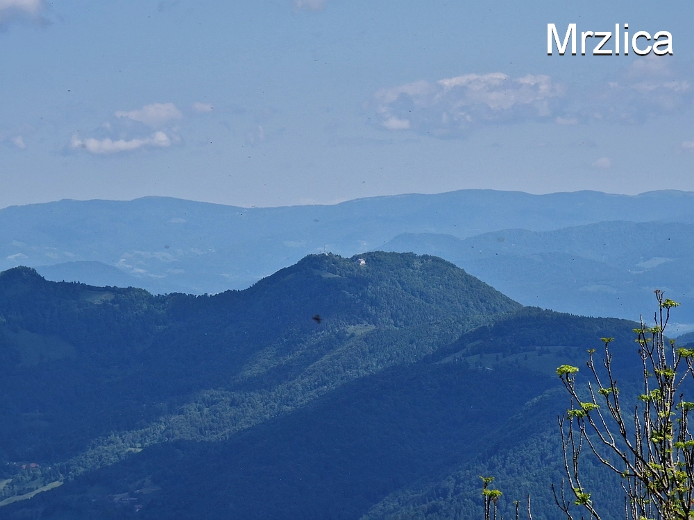 Slika je vidna v Google Chromu.