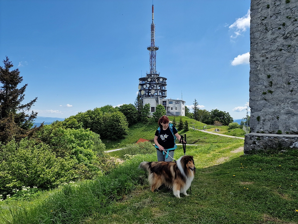 Slika je vidna v Google Chromu.