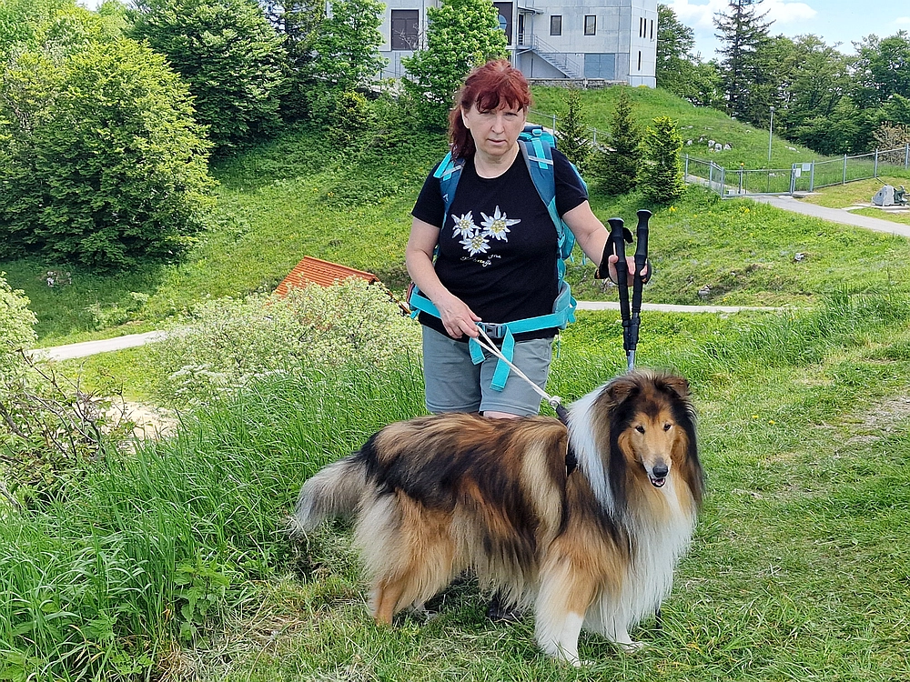 Slika je vidna v Google Chromu.