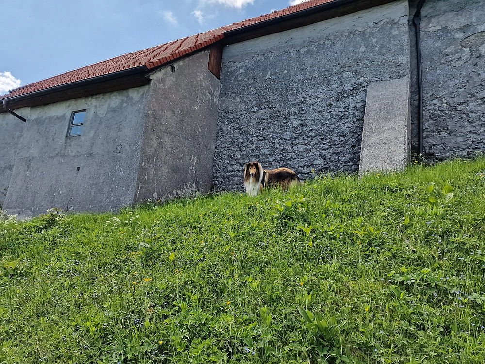 Slika je vidna v Google Chromu.