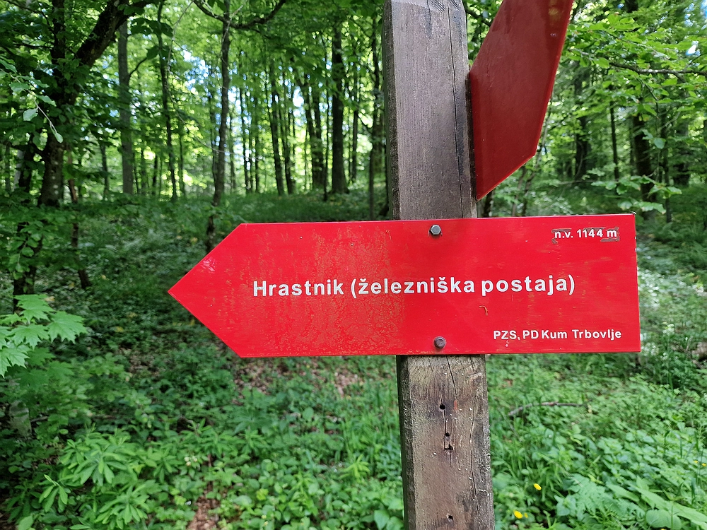 Slika je vidna v Google Chromu.