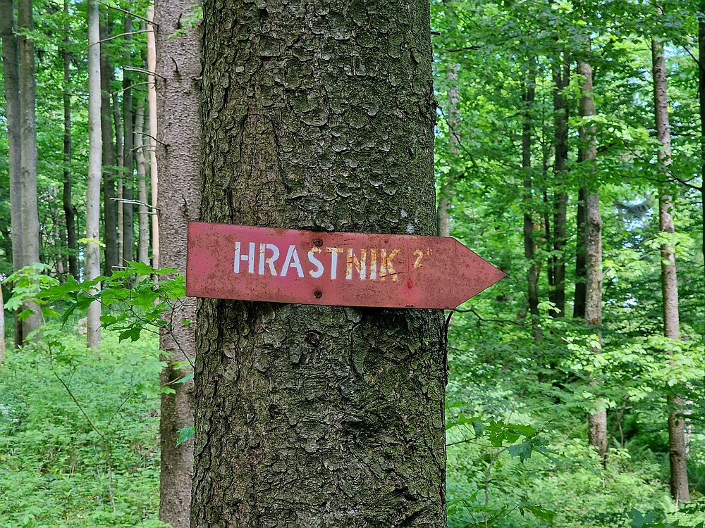 Slika je vidna v Google Chromu.