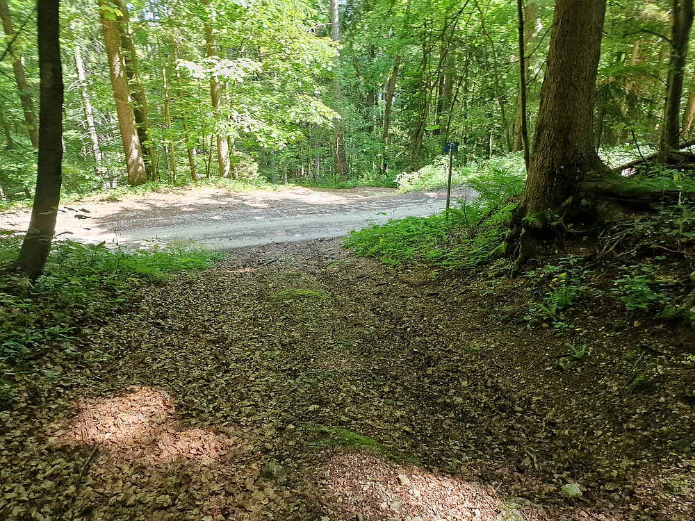 Slika je vidna v Google Chromu.