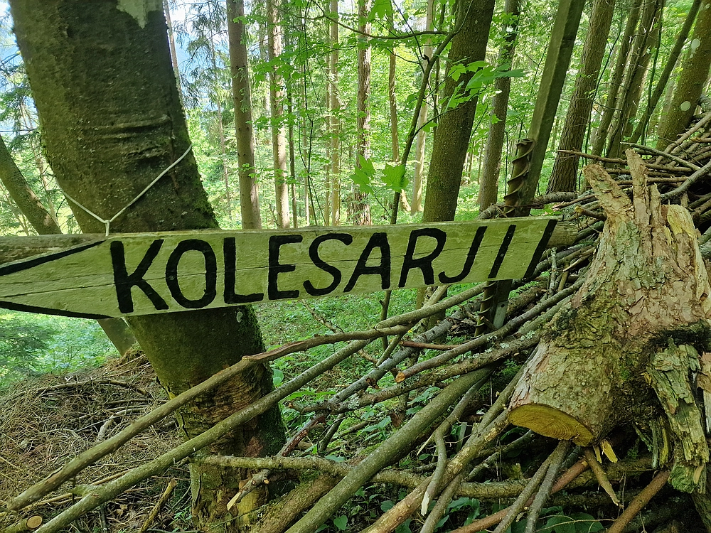 Slika je vidna v Google Chromu.