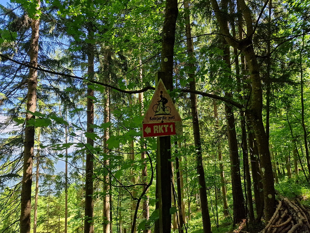 Slika je vidna v Google Chromu.