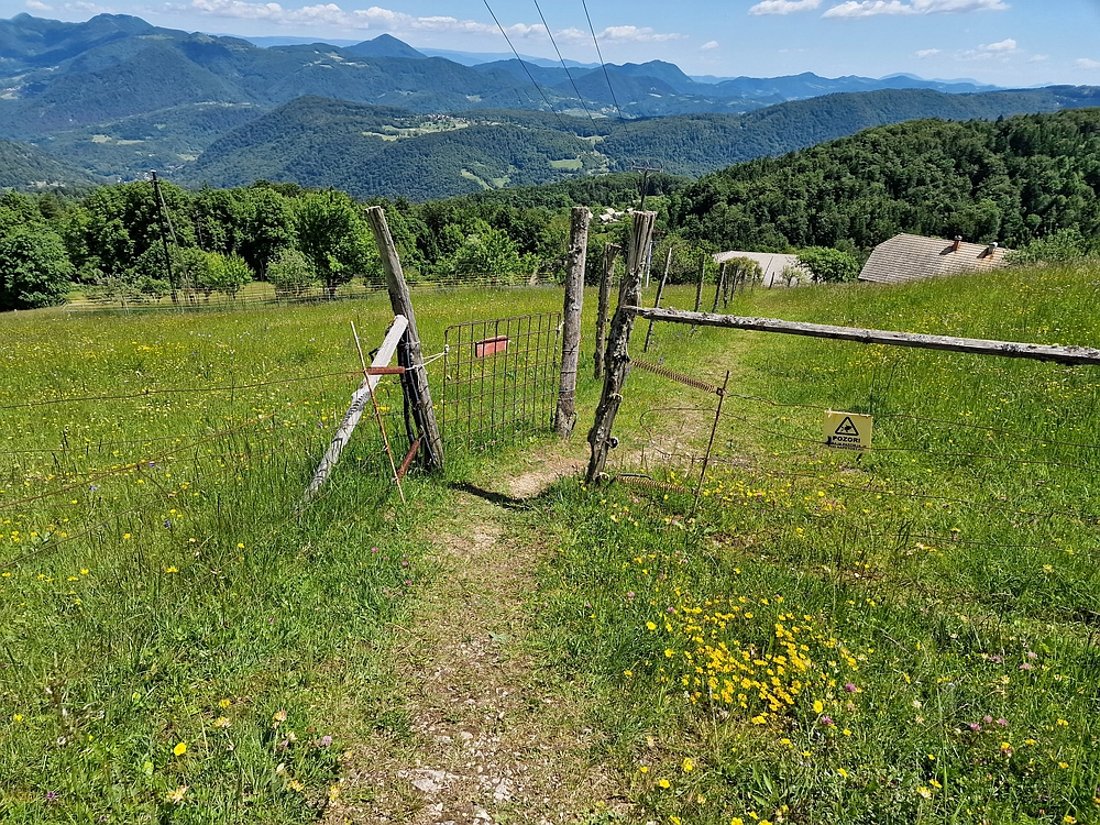 Slika je vidna v Google Chromu.