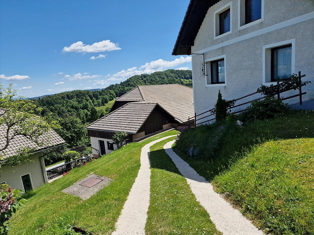 Slika je vidna v Google Chromu.