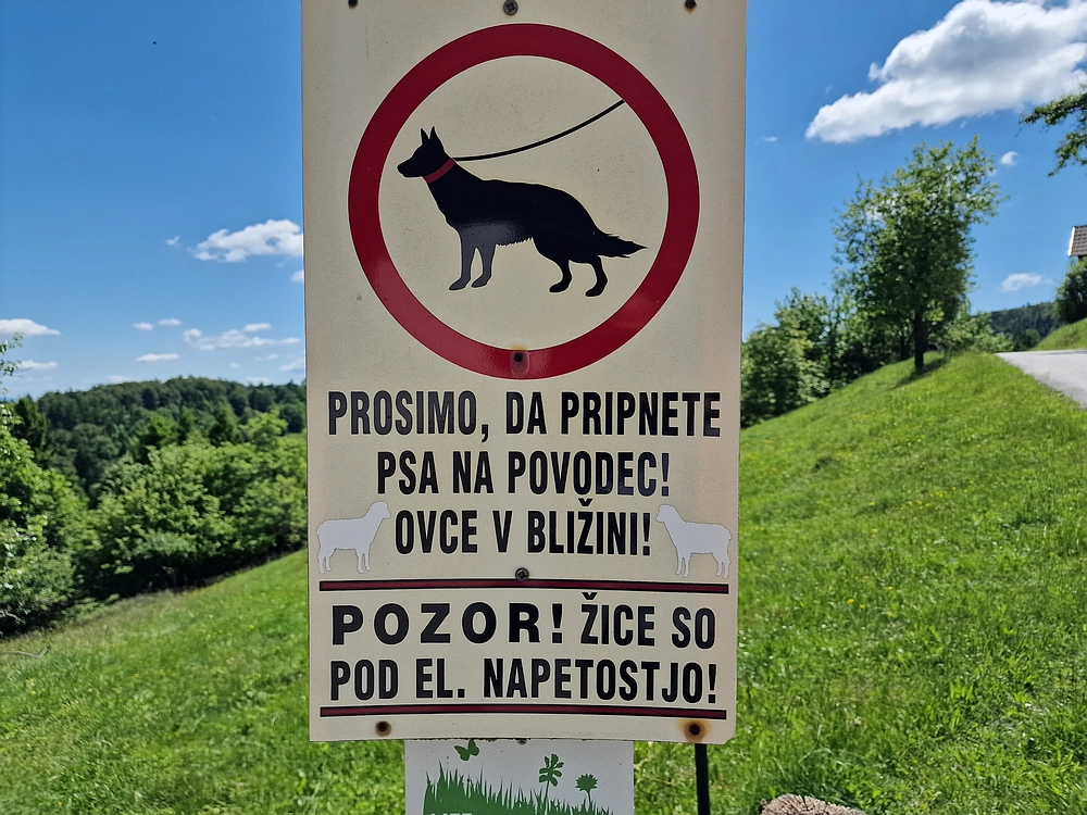 Slika je vidna v Google Chromu.