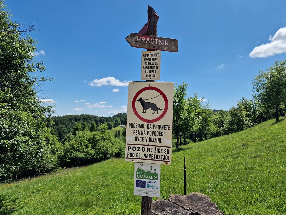 Slika je vidna v Google Chromu.