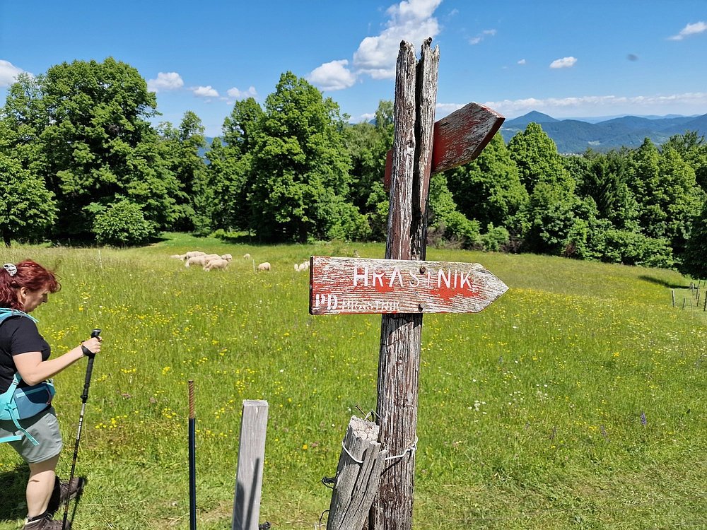 Slika je vidna v Google Chromu.