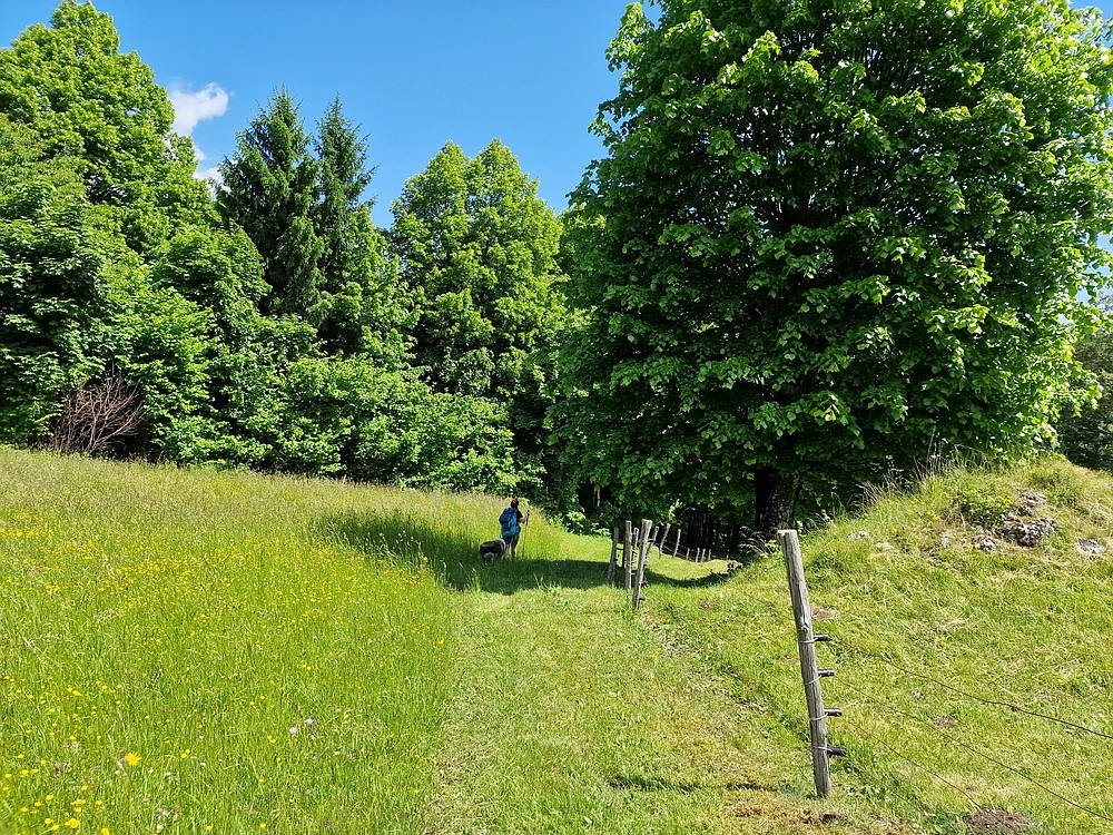 Slika je vidna v Google Chromu.