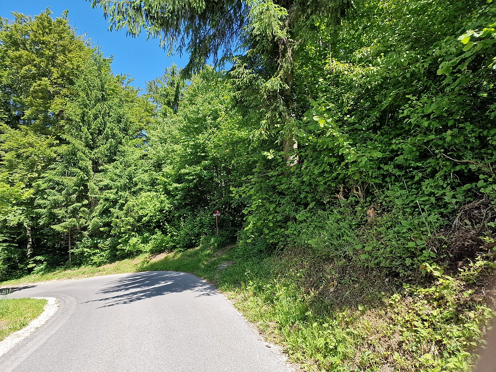 Slika je vidna v Google Chromu.