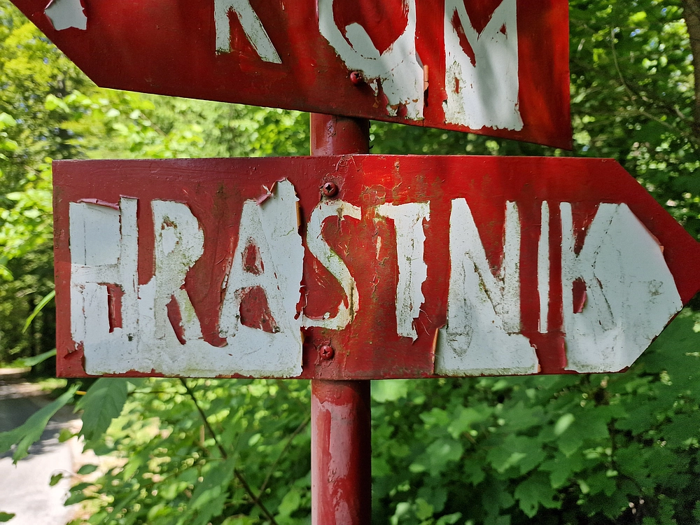 Slika je vidna v Google Chromu.