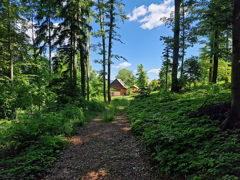 Slika je vidna v Google Chromu.