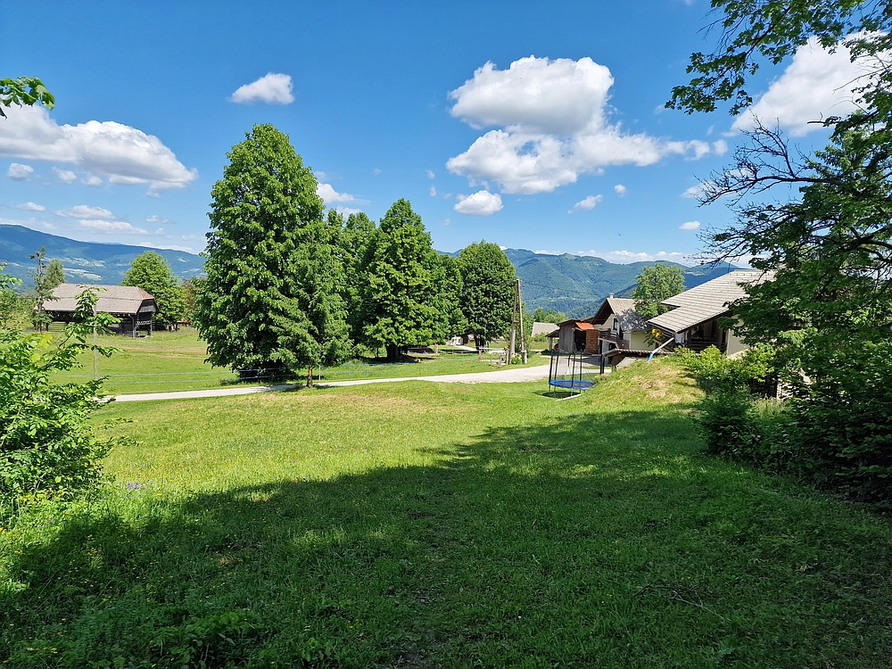 Slika je vidna v Google Chromu.