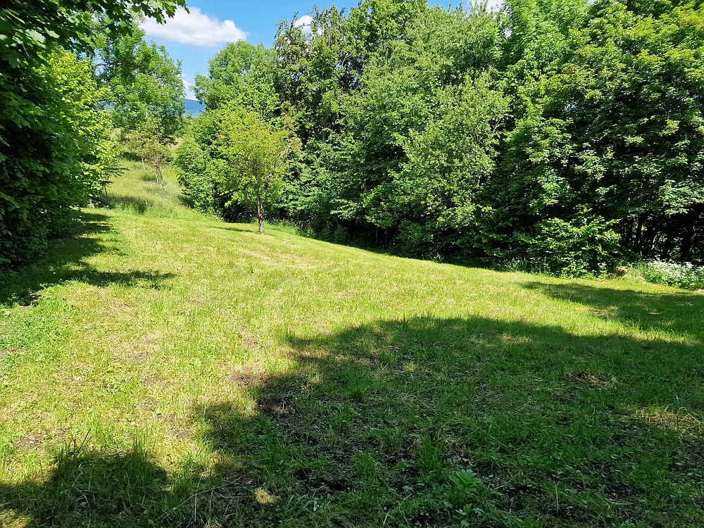 Slika je vidna v Google Chromu.