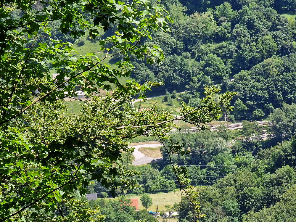 Slika je vidna v Google Chromu.