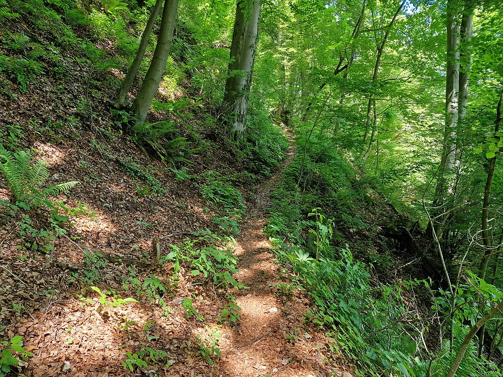 Slika je vidna v Google Chromu.