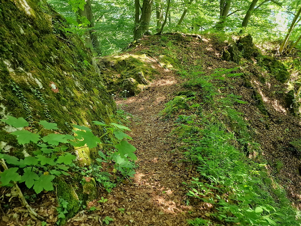 Slika je vidna v Google Chromu.