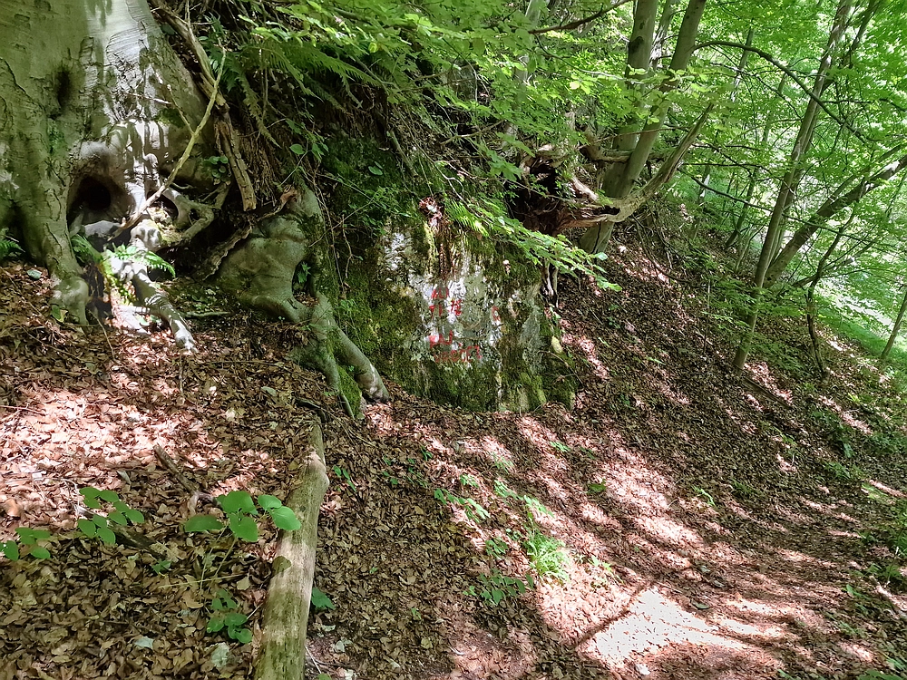 Slika je vidna v Google Chromu.