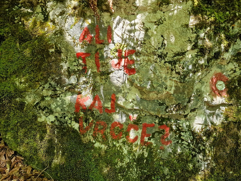 Slika je vidna v Google Chromu.