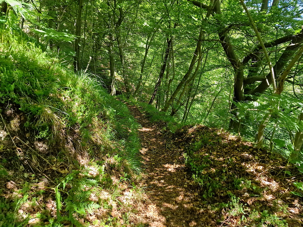 Slika je vidna v Google Chromu.