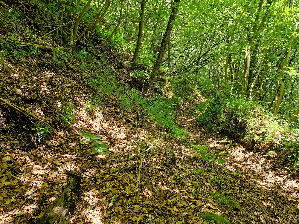 Slika je vidna v Google Chromu.