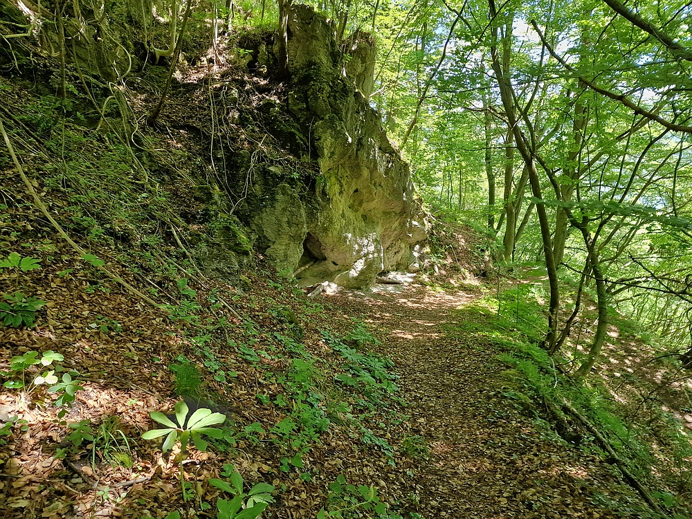 Slika je vidna v Google Chromu.
